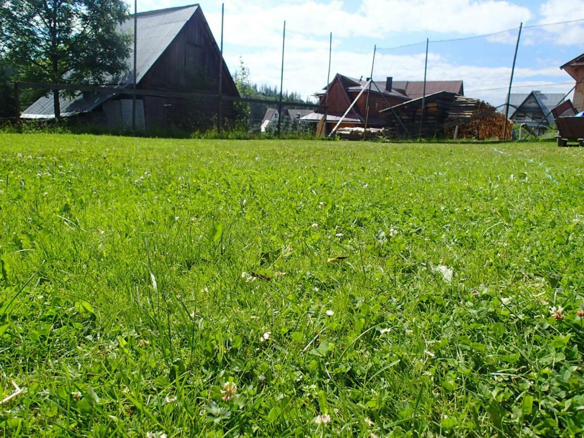 Pokoje Goscinne U Elzbiety Ciche Małe Exteriör bild