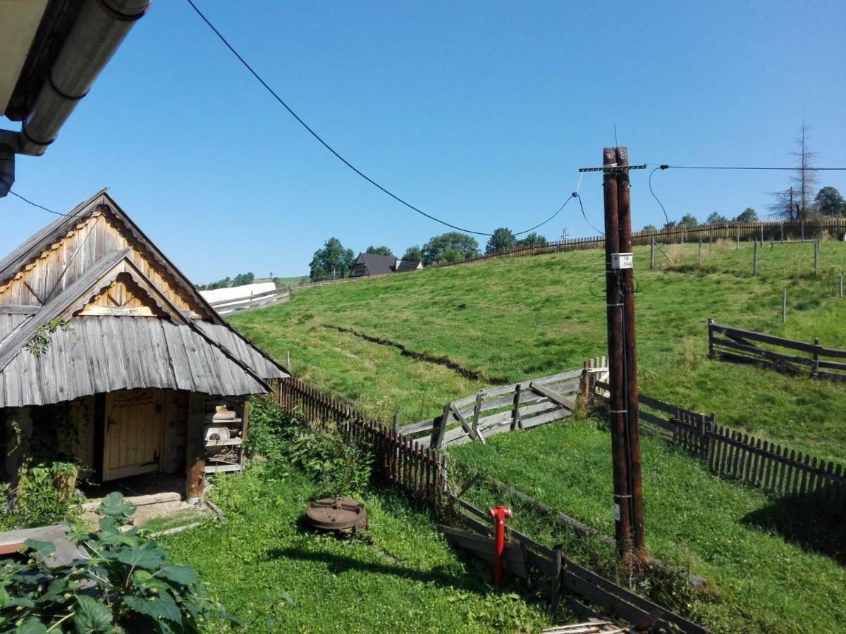 Pokoje Goscinne U Elzbiety Ciche Małe Exteriör bild
