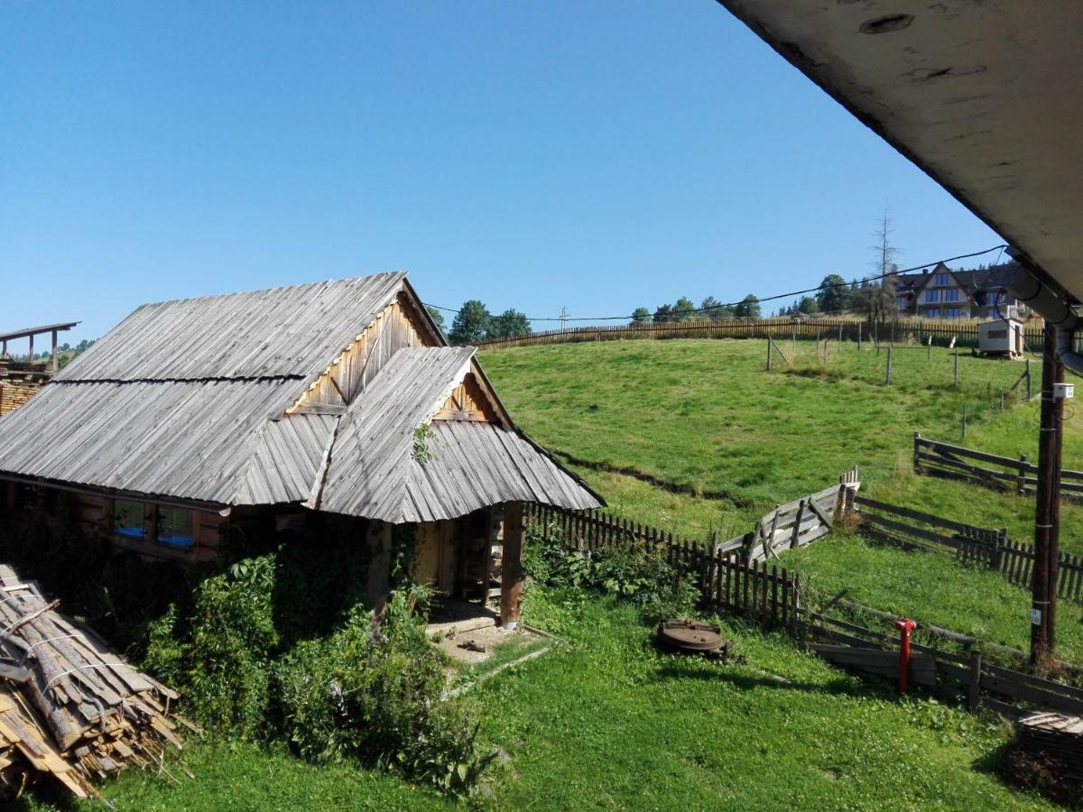 Pokoje Goscinne U Elzbiety Ciche Małe Exteriör bild