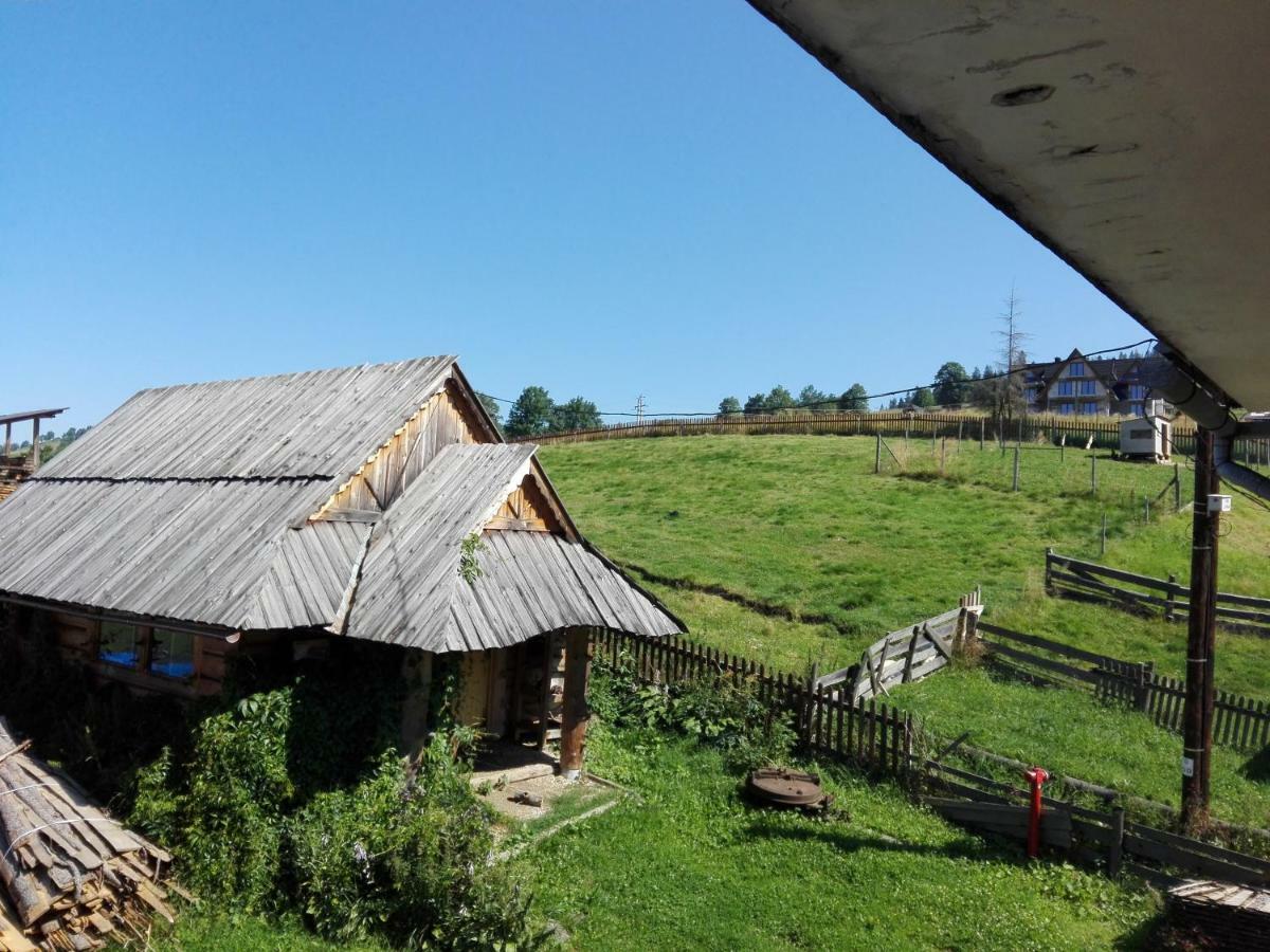 Pokoje Goscinne U Elzbiety Ciche Małe Exteriör bild